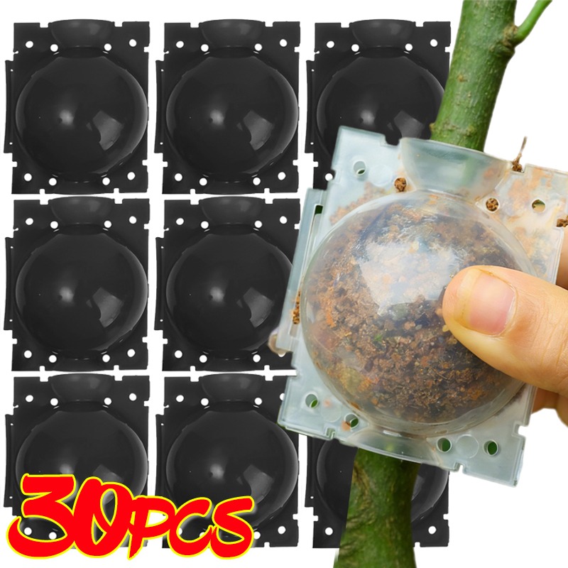 Plant Parent Tools - Bola de Enraizamento Reutilizável para Plantas,