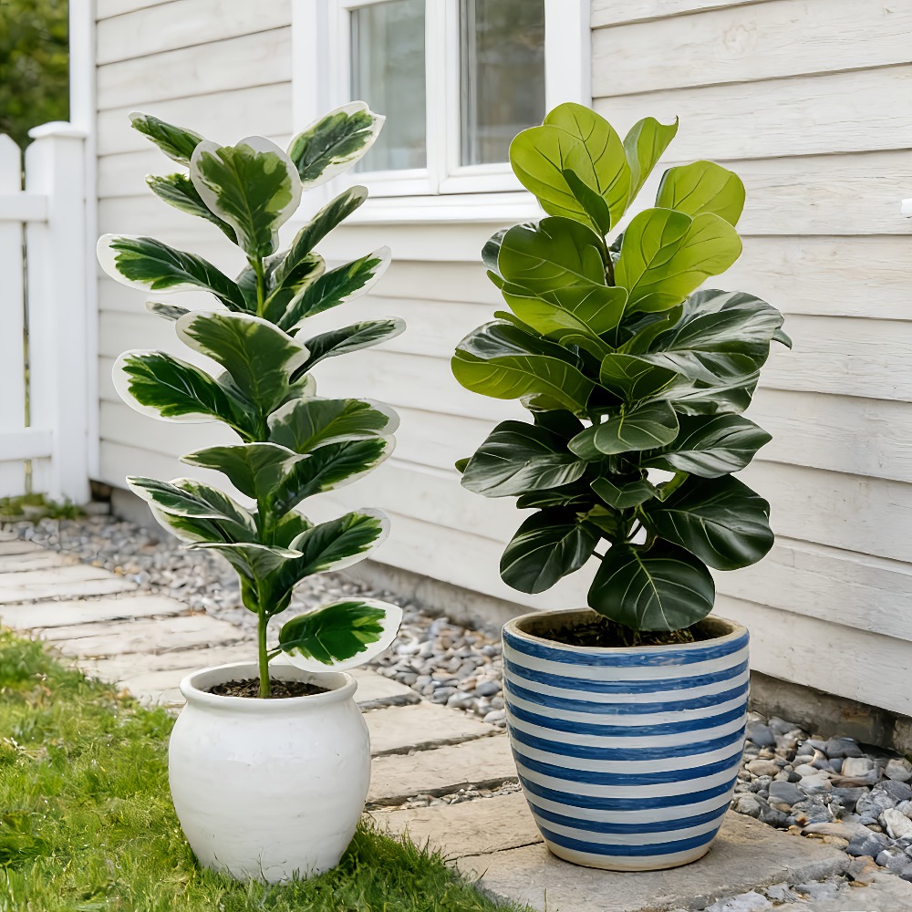 Fiddle Leaf Fig - Árvores Artificiais de Banyan para Exterior,