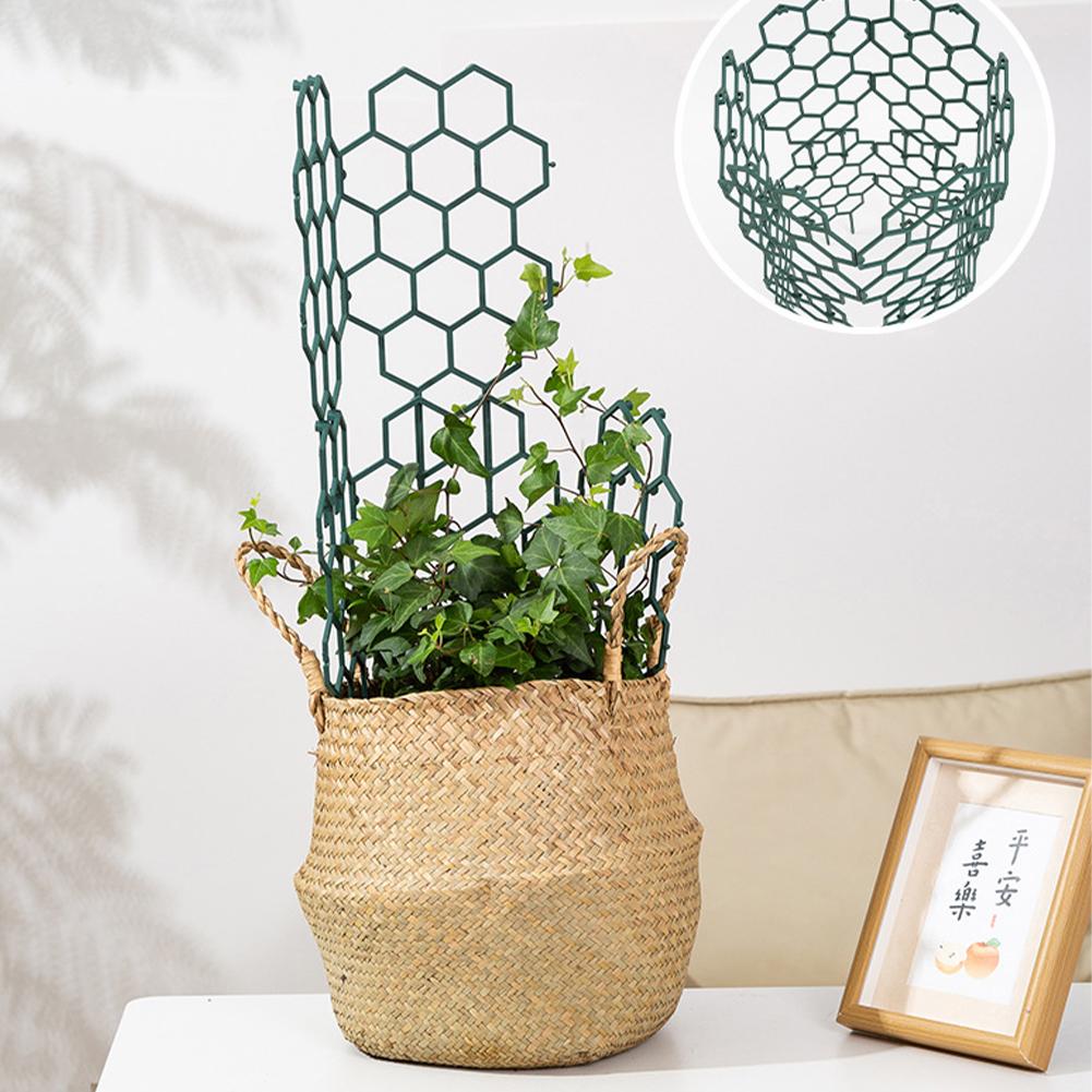 1/2/5 Peças Suporte de Plástic - Plant Parent Tools avaliação e preço