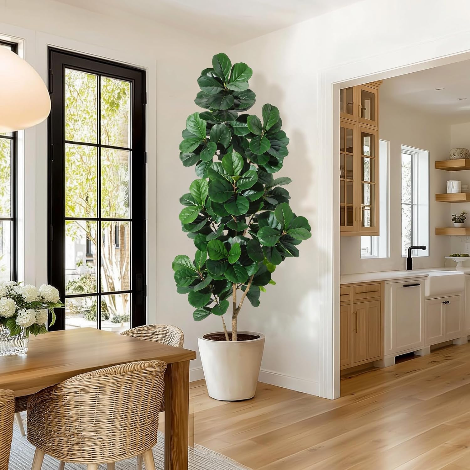 4-7 pés folha de violino figo  - Fiddle Leaf Fig avaliação e preço