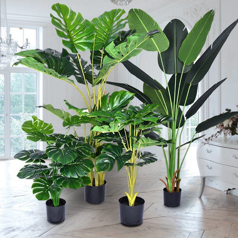 Grande tartaruga artificial pa - Fiddle Leaf Fig avaliação e preço