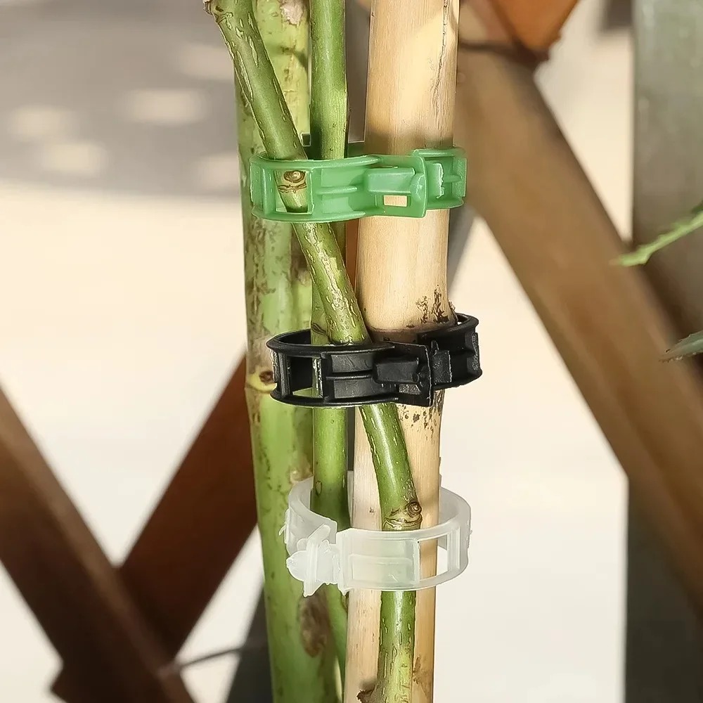 100/10 PEÇAS Clipes de Suporte - Plant Parent Tools avaliação e preço
