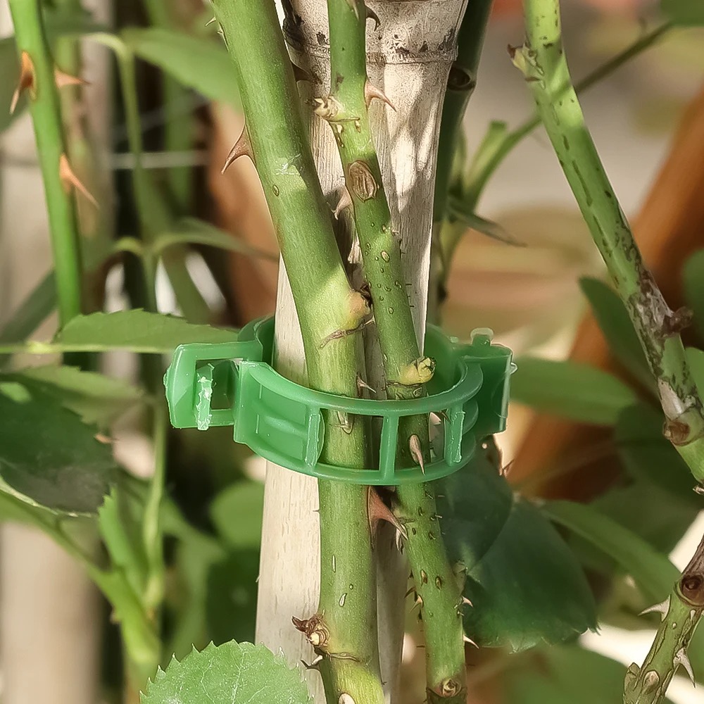 100/10 PEÇAS Clipes de Suporte - Plant Parent Tools avaliação e preço