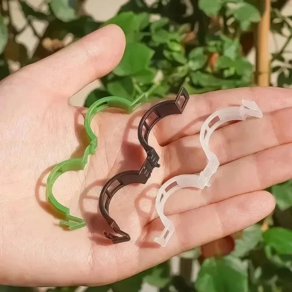100/10 PEÇAS Clipes de Suporte - Plant Parent Tools avaliação e preço
