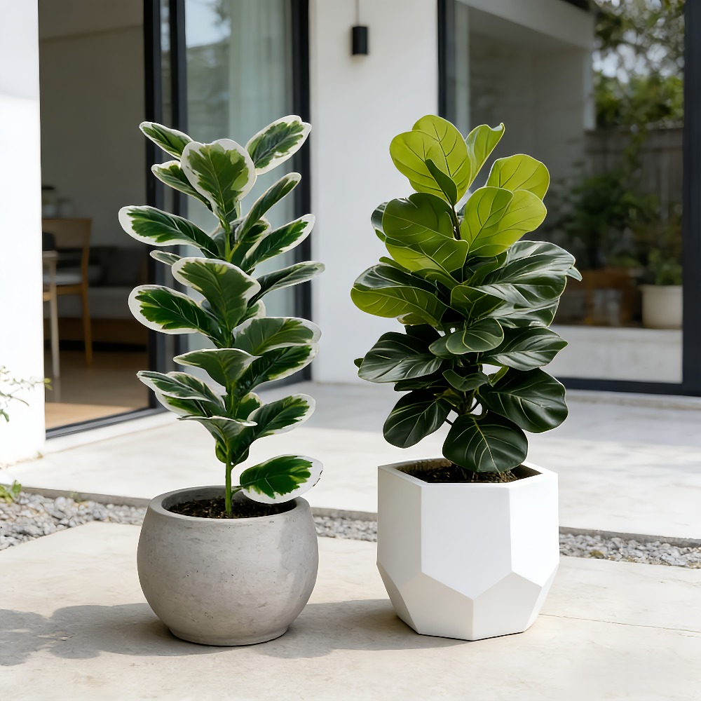 Árvores Artificiais de Banyan  - Fiddle Leaf Fig avaliação e preço